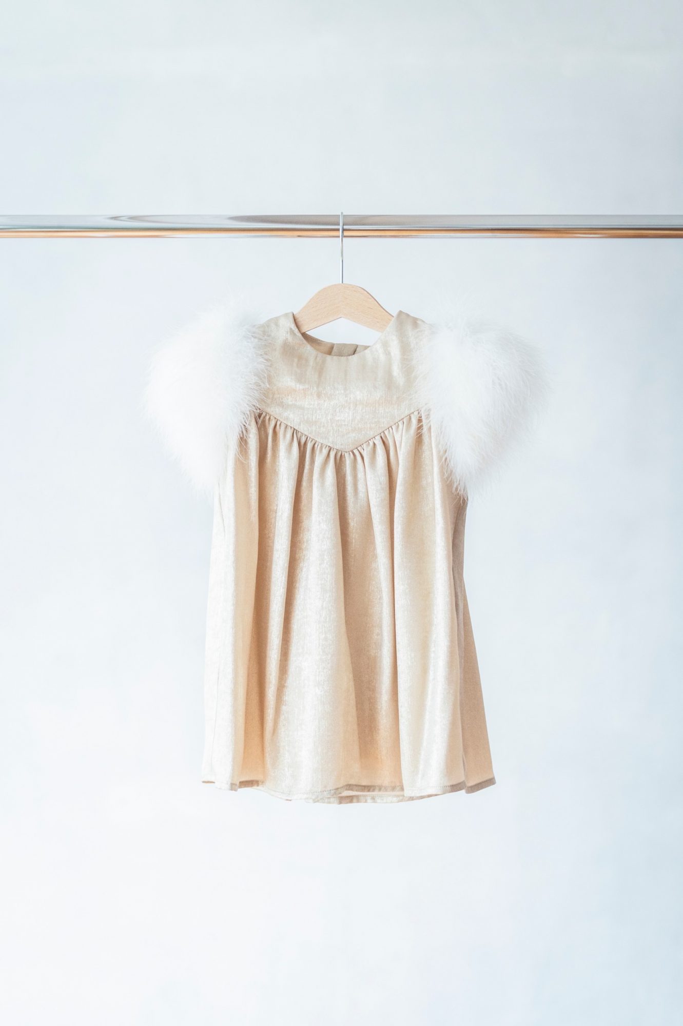 Fur Sleeve Dress